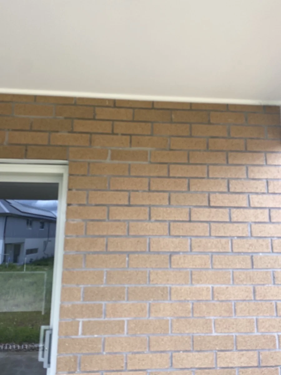Brick wall with a white ceiling, partial view of a glass door. Outside, grassy area and gray building visible. Overcast mood.