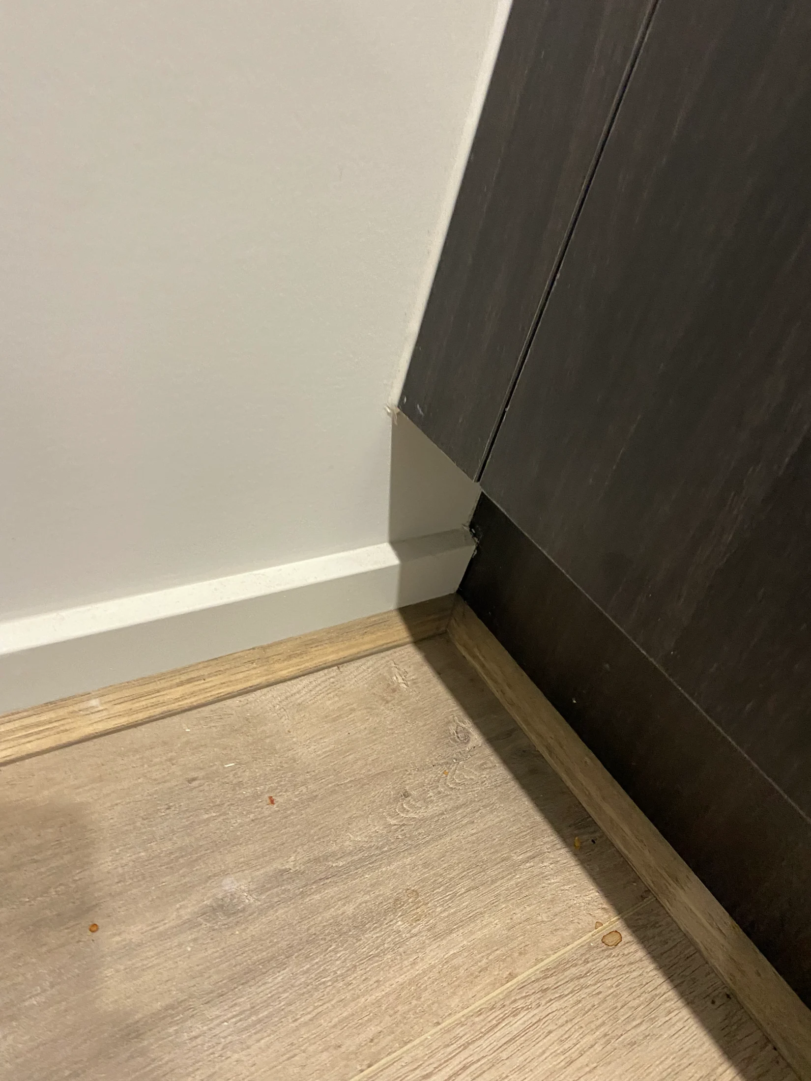 Corner of a room with a white wall, wooden floor, and dark cabinet. Baseboard visible with small debris on the floor. Neutral setting.