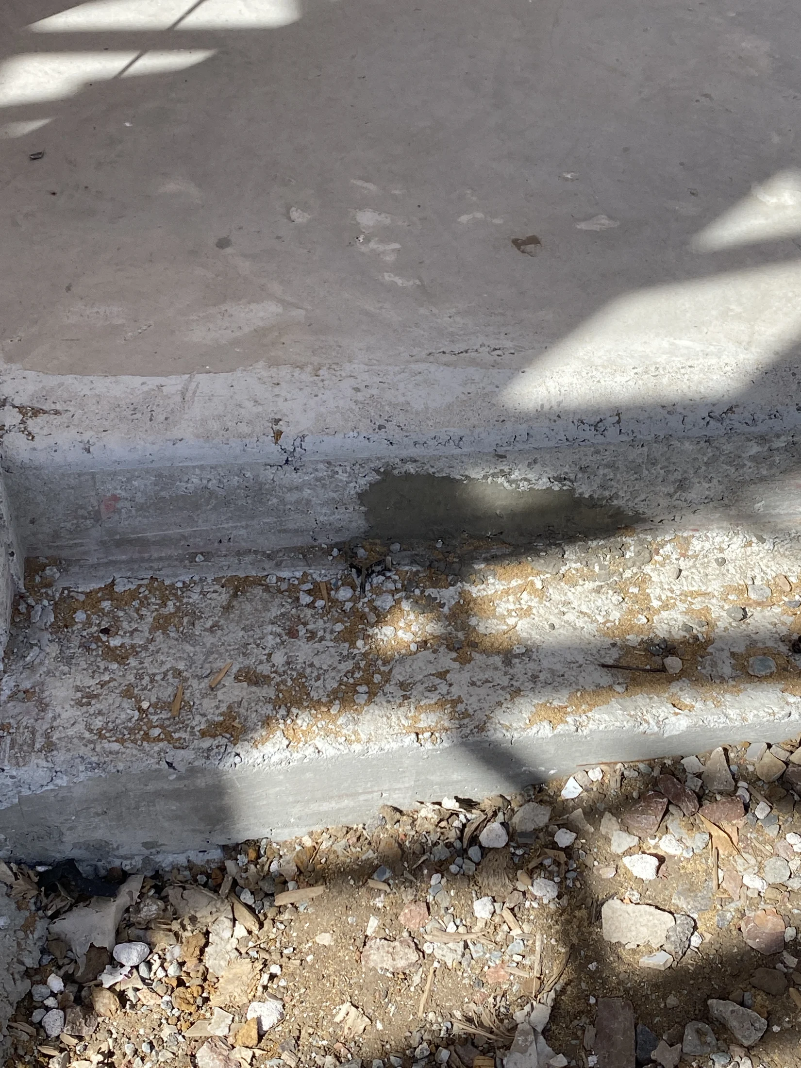 Concrete steps with dirt and debris, surrounded by pebbles and shadows, sunlight casting patterns on the surface.