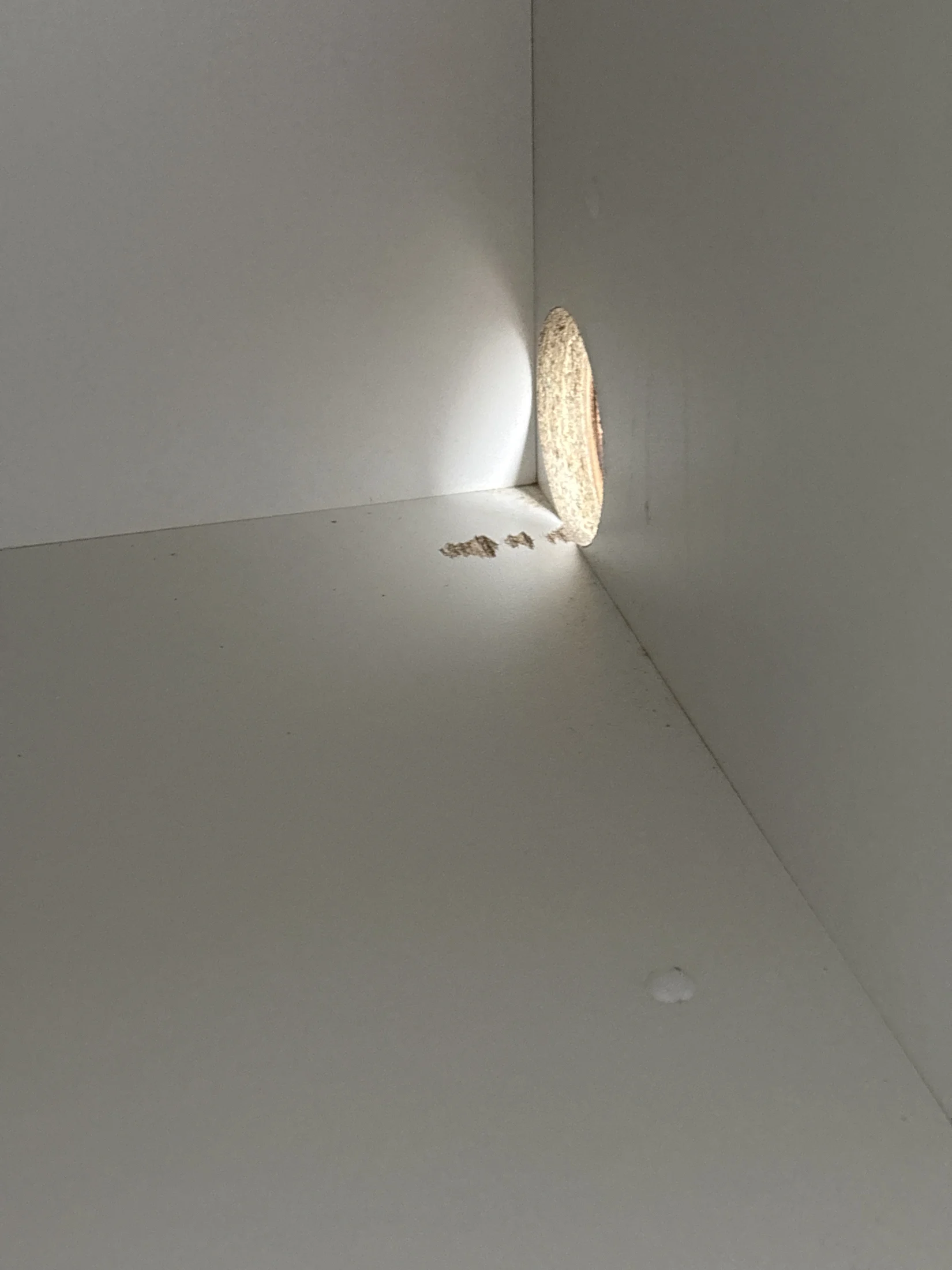 Circular hole in a light gray wall, with wood shavings scattered below. Soft light highlights the hole, creating a minimalistic scene.