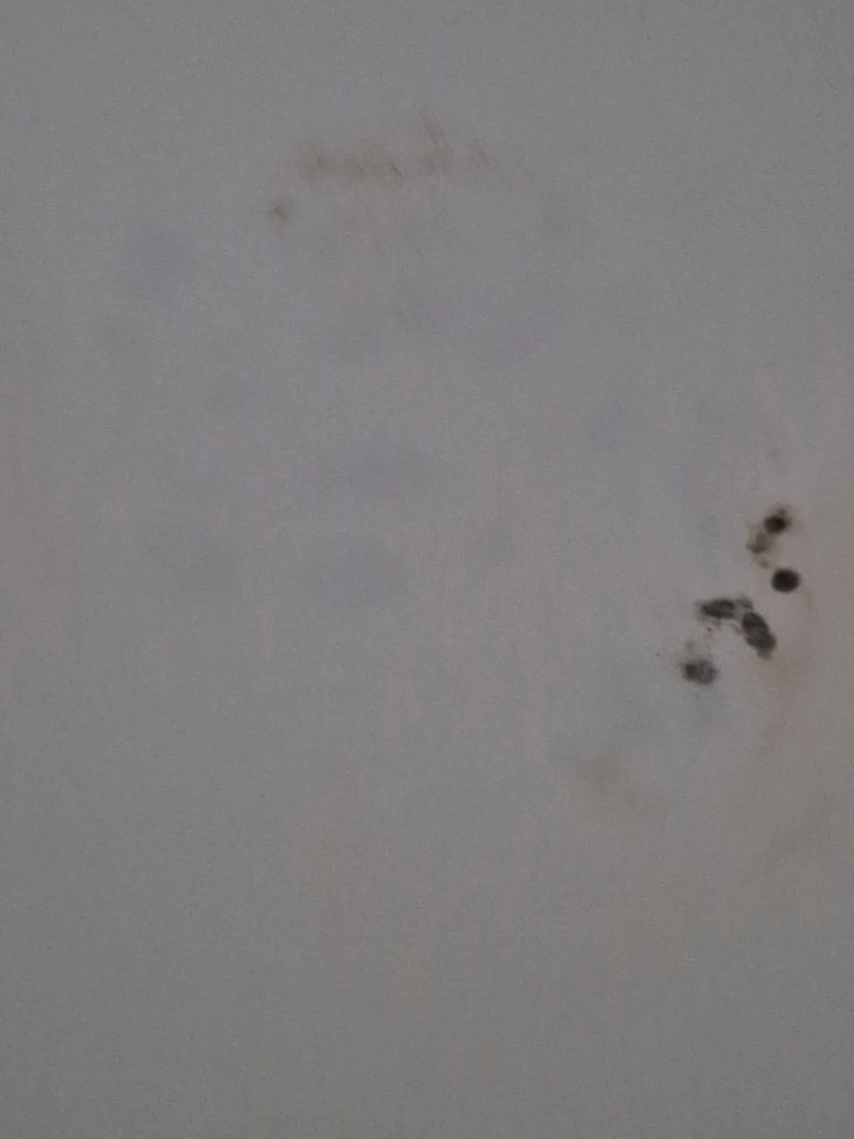 Smudged text and dark spots on a gray surface, creating an abstract and unclear visual.