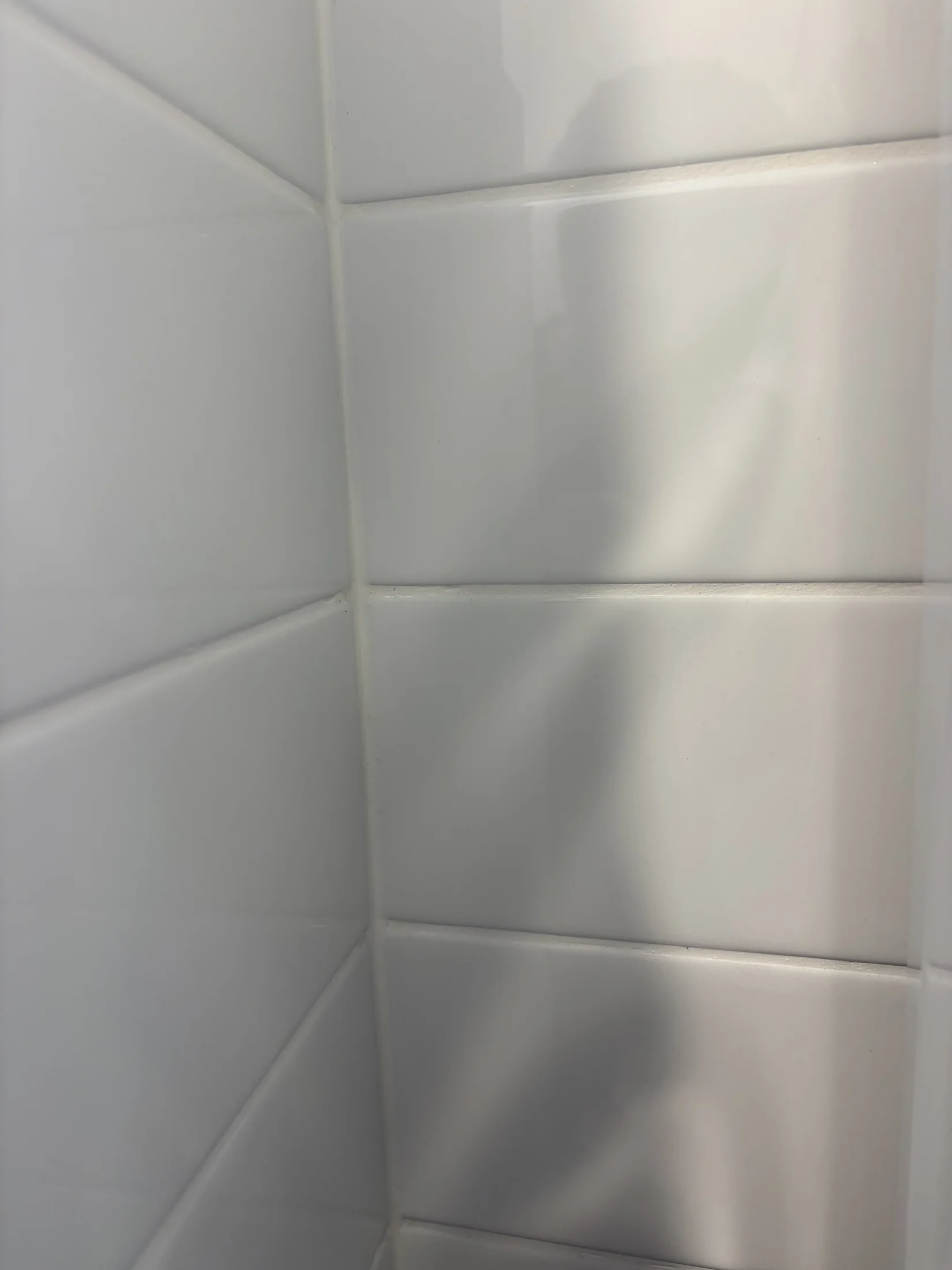 White tiled wall with a soft shadow, suggesting a reflective, clean bathroom setting. No text or other notable details visible.