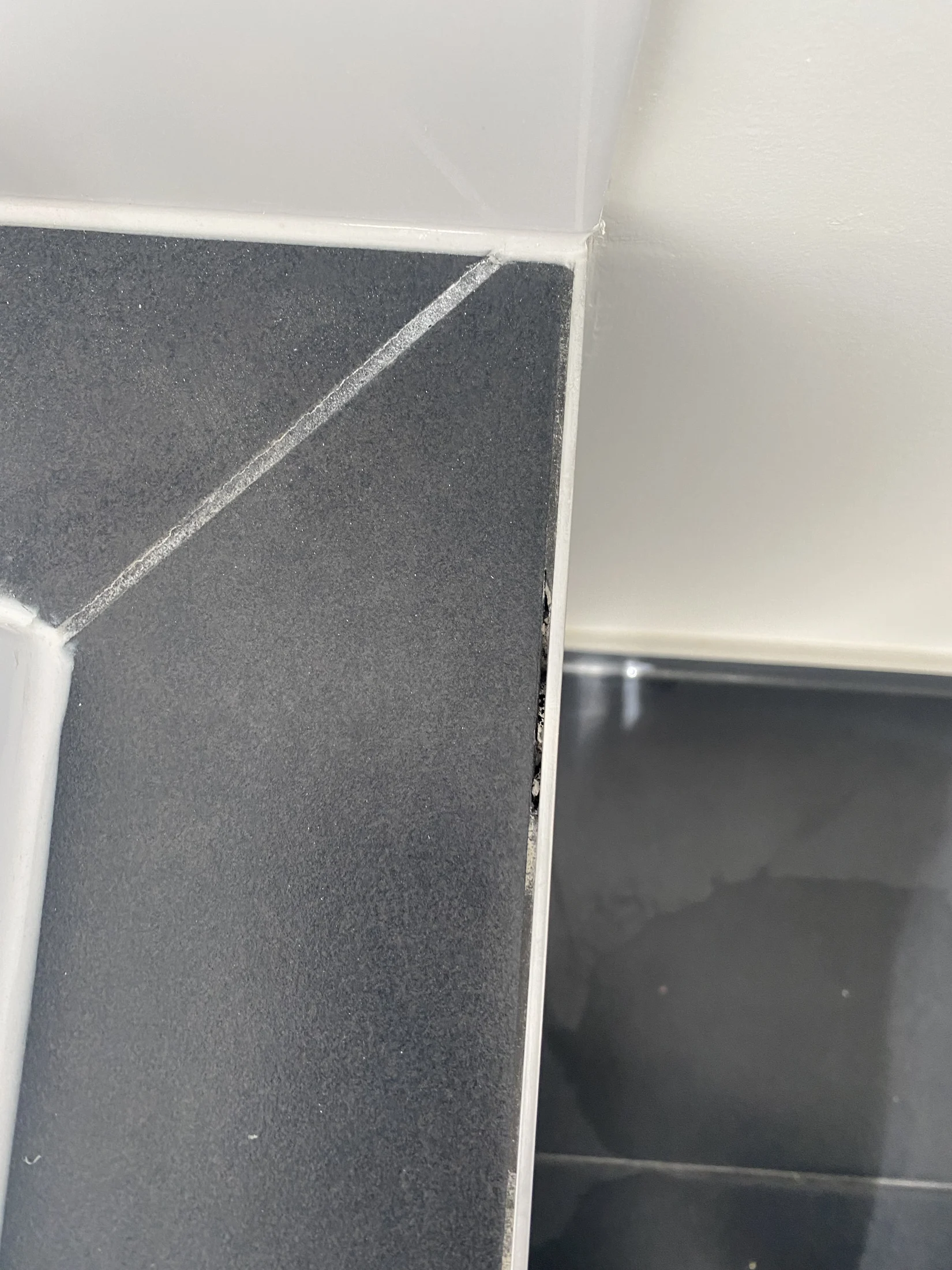 Close-up of a corner with gray tiles and white grout, showing a small section of mold. The background has a black tile surface.
