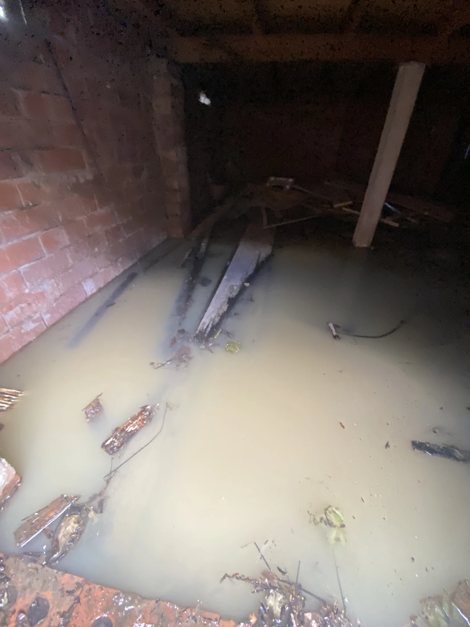 Flooded basement with murky water covering the floor, scattered debris, and exposed brick walls. Dim lighting creates a gloomy atmosphere.