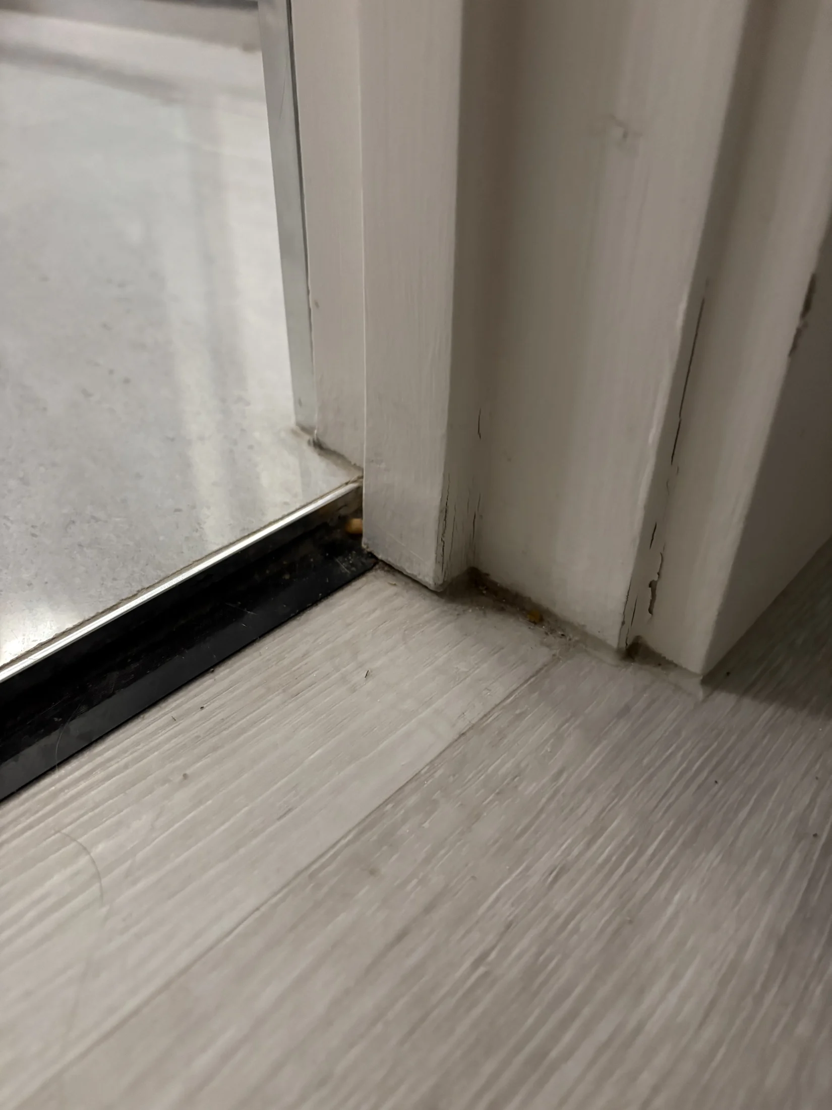 Floor trim corner with slight peeling paint and dirt accumulation. Light wood flooring, white wall, and metal edge visible in a close-up.