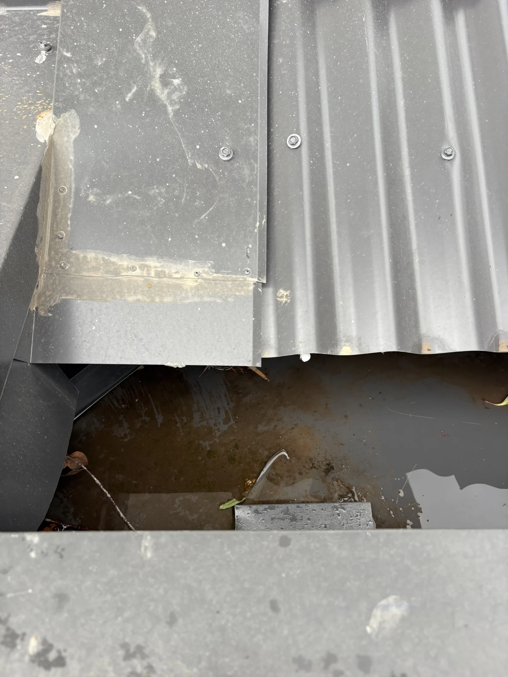 Close-up of a gray corrugated metal roof with visible screws and patched sections, showing rust and pooling water in a gap, creating a weathered and neglected look.