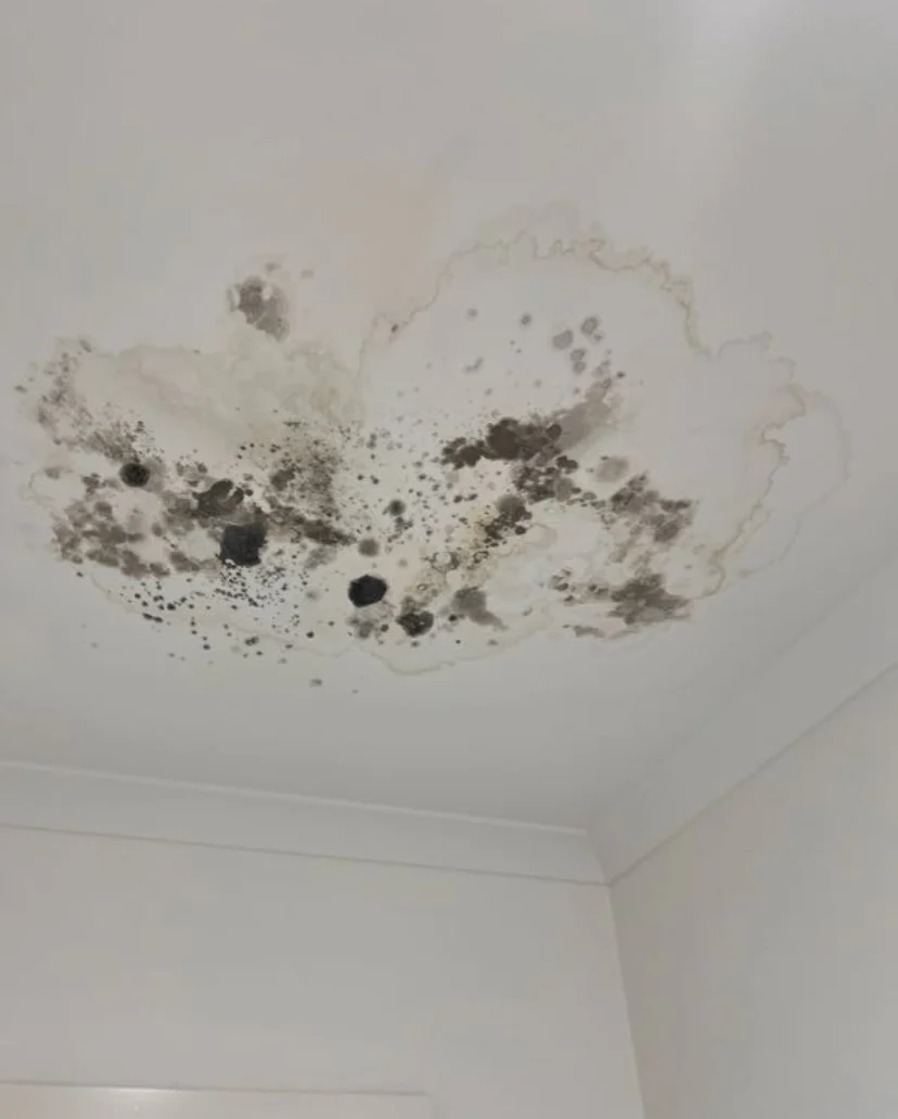 Pre Purchase Building Inspections in Hawthorn, Victoria