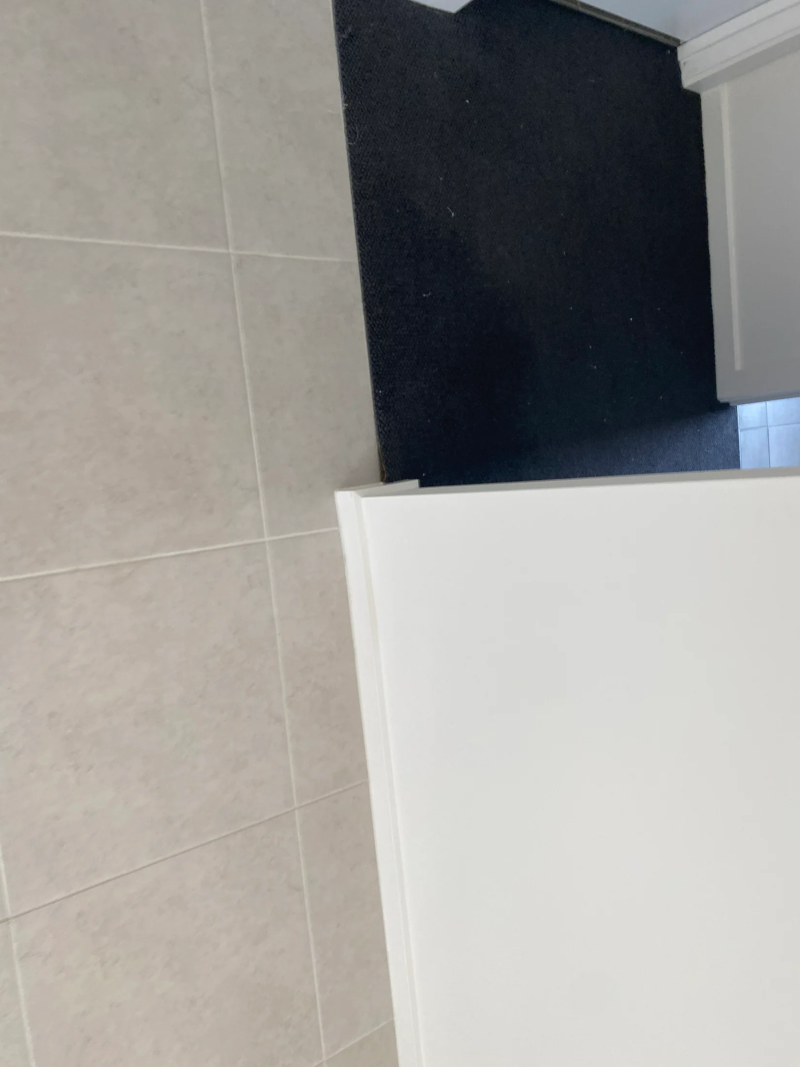 White door ajar with gray tiles and dark carpet in the background. No text or notable actions. Simple, neutral setting.