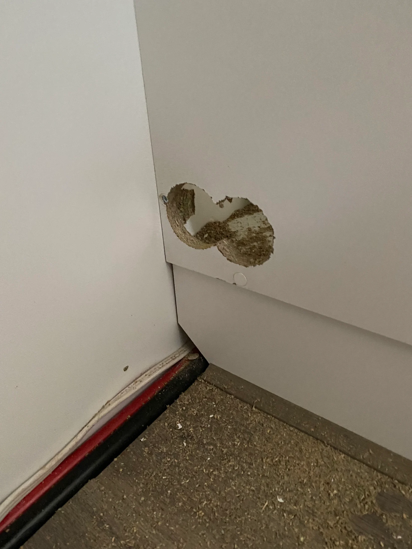 Hole in a white wall corner near the floor, with wood shavings scattered below. Visible wiring and a red stripe border the floor.