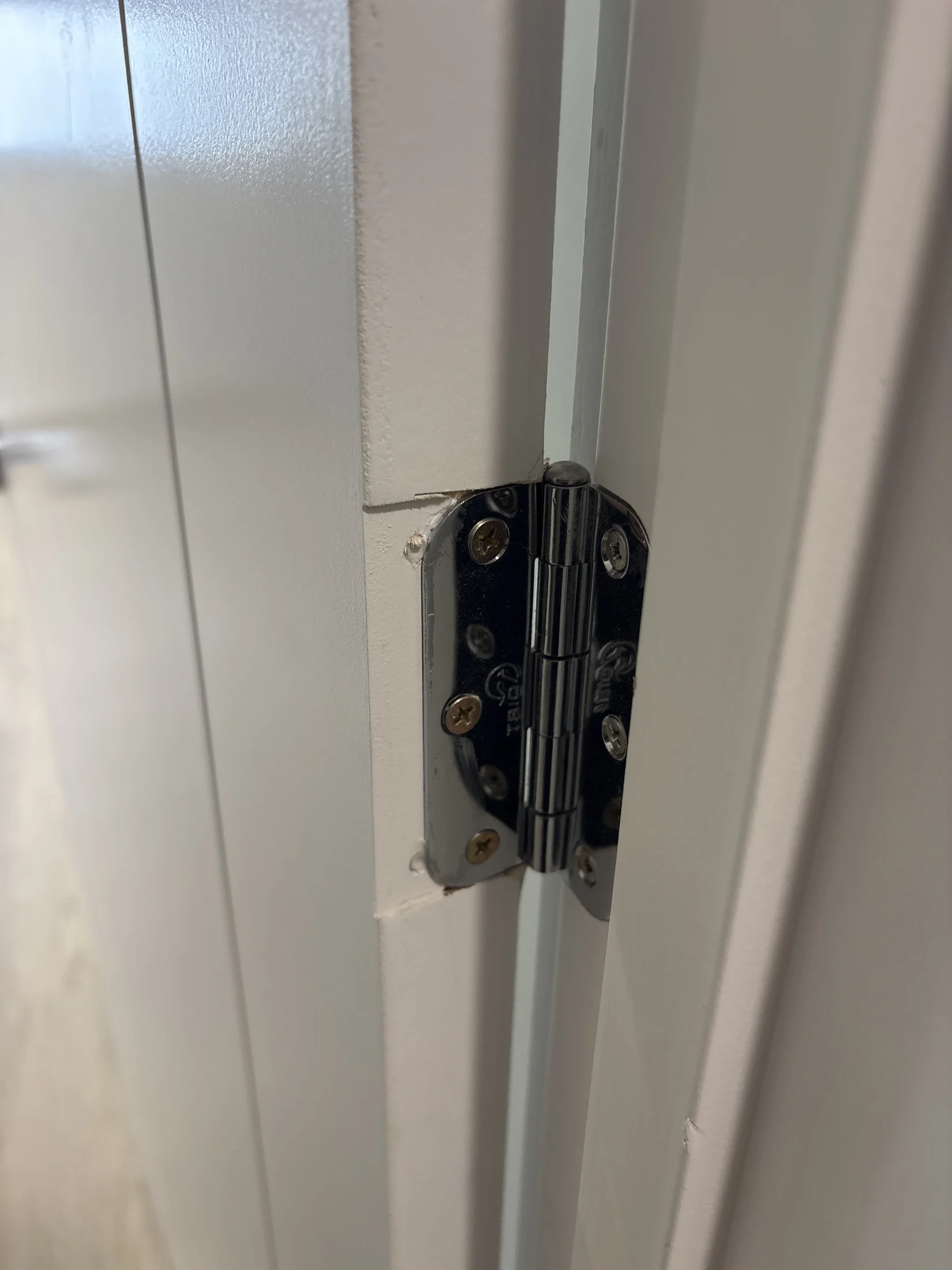 Close-up of a door hinge with visible screws on a white door frame. The setting is indoors, with a focus on the metal hinge's details.