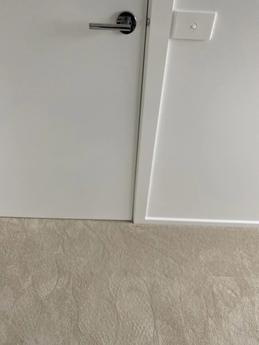 White door with a silver handle on a beige carpet. A square light switch is visible on the right wall. Minimalist and clean setting.